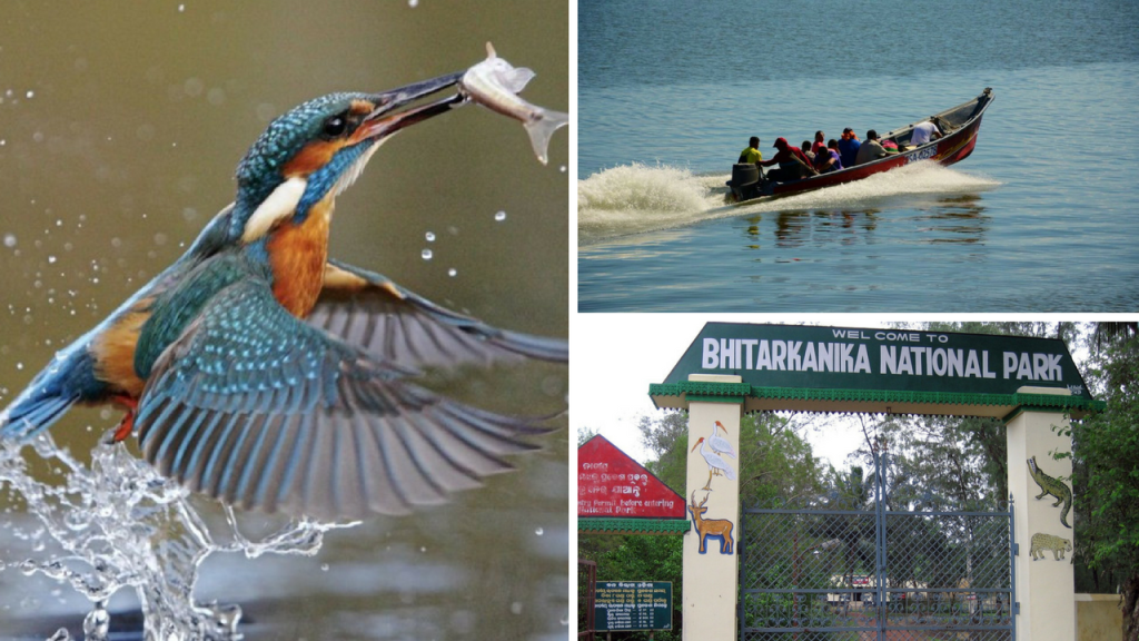 Bhitarkanika National Park Odisha