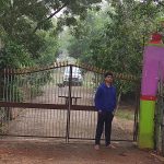 Home 12 Estuarine Village Resort Bhitarkanika