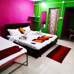 Home 8 Plan a 4-Day Itinerary to Visit Bhitarkanika