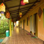 Home 8 bhitarkanika resort 019