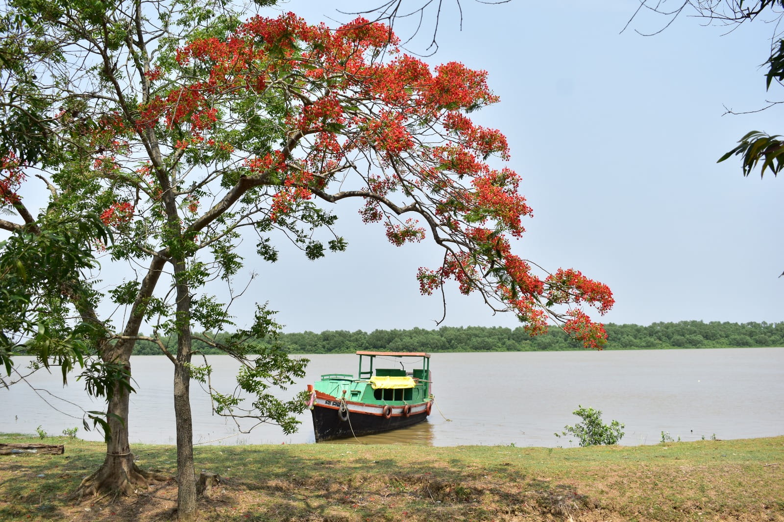 bhitarkanika resort 028