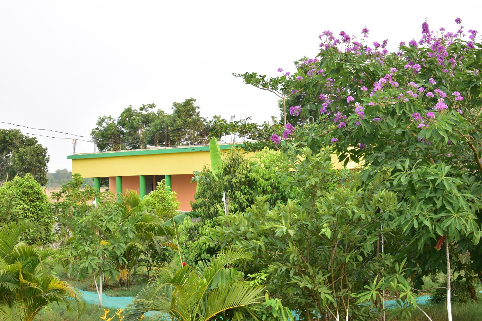 bhitarkanika resort 029