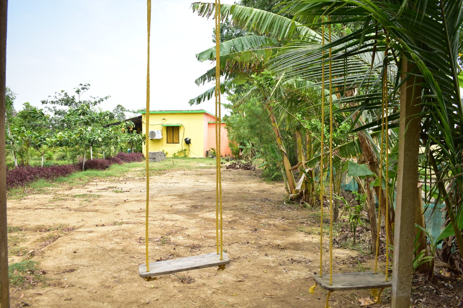 bhitarkanika resort 030