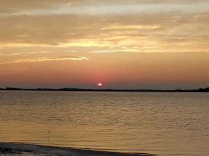 The Best Bhitarkanika Tour Packages 2 Bhitarkanika Tour Packages
